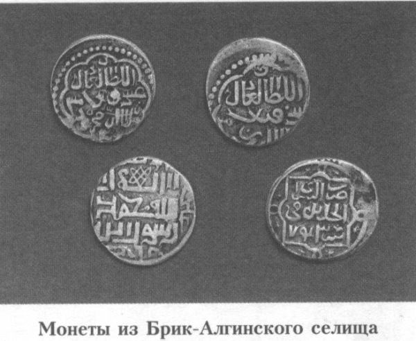 Монеты из Брик-Алгинского селища